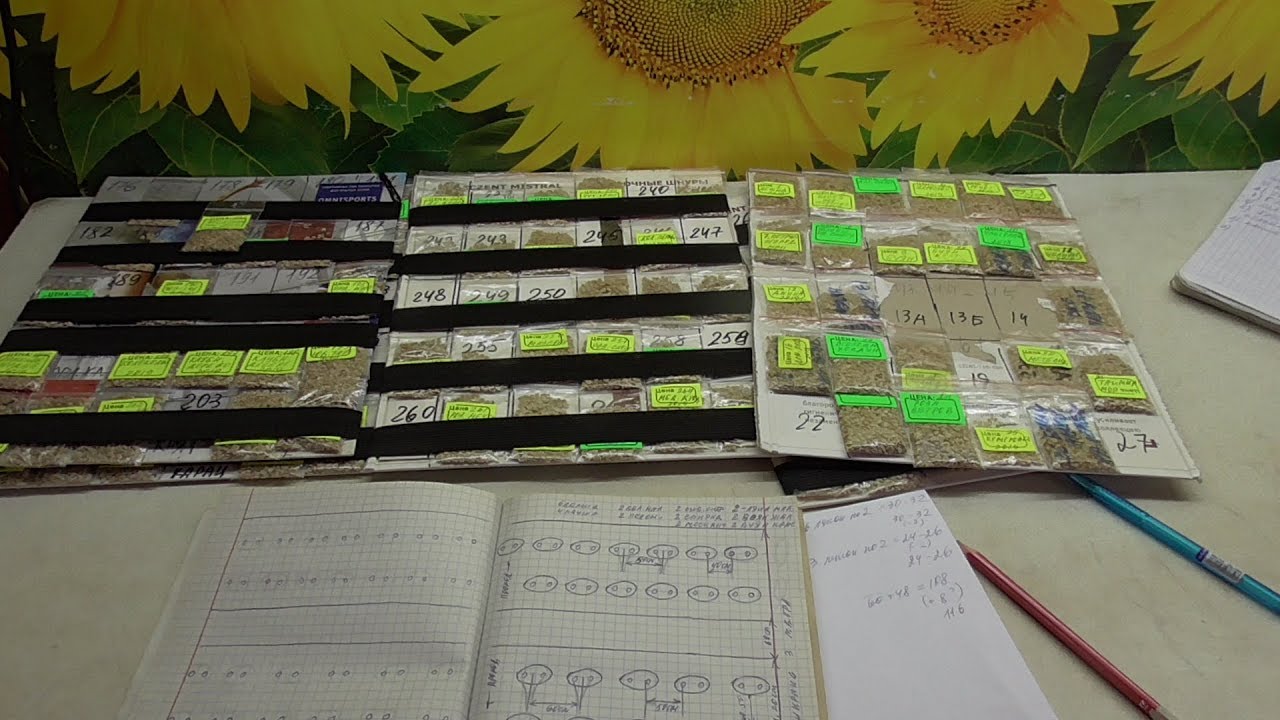 СУПЕРРАННИЙ УРОЖАЙ ТОМАТОВ - КАКИЕ СОРТА ВЫБРАЛА Я? Ольга Чернова.