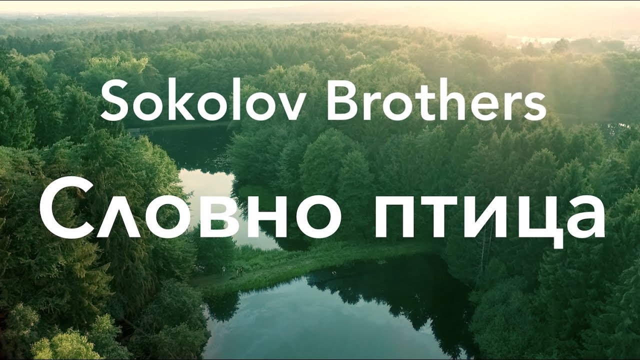 Мчится тойота словно птица