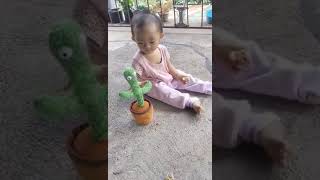 DANCING CACTUS TOY with our Chambe 🫶