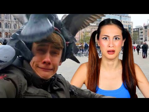 ABC ALFABET BROOKHAVEN CHALLENGE! || Let