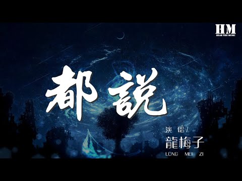 龍梅子 - 都說 (EDM-DJ何鵬)『跨過山河大海 一片蒼茫』【動態歌詞Lyrics】