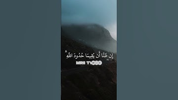 ماهر المعيقلي - سورة البقرة ( برواية حفص عن عاصم ) الأية 230