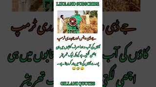 4- life changing quotes that will inspire &amp; motivate you"