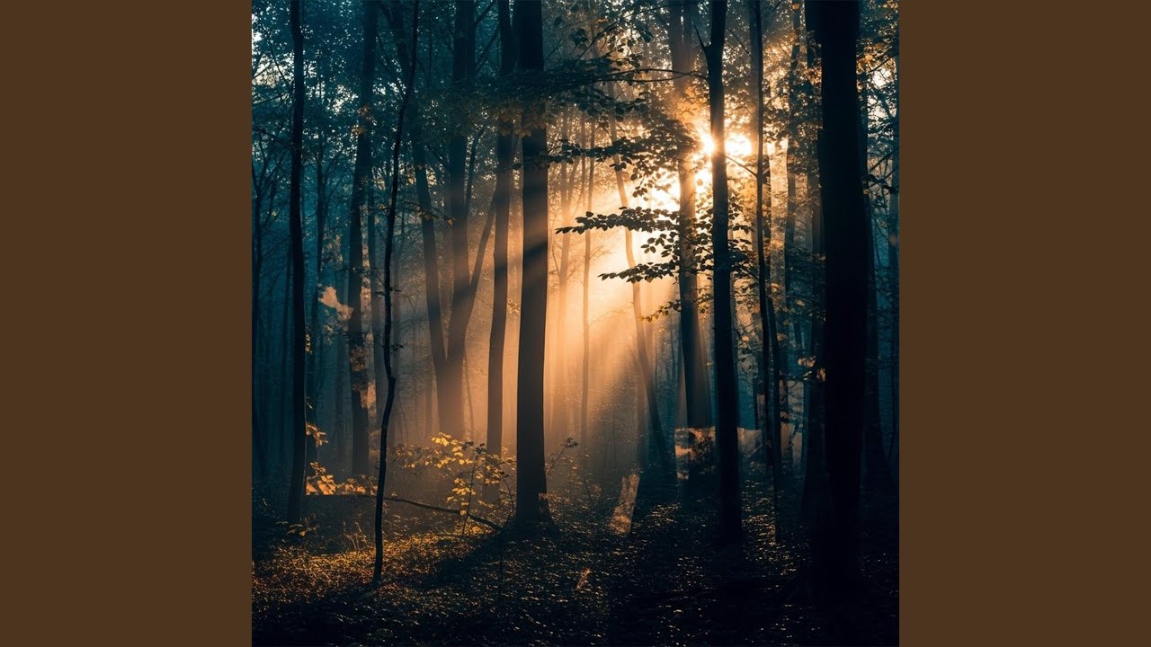 Soft Breeze in the Canopy