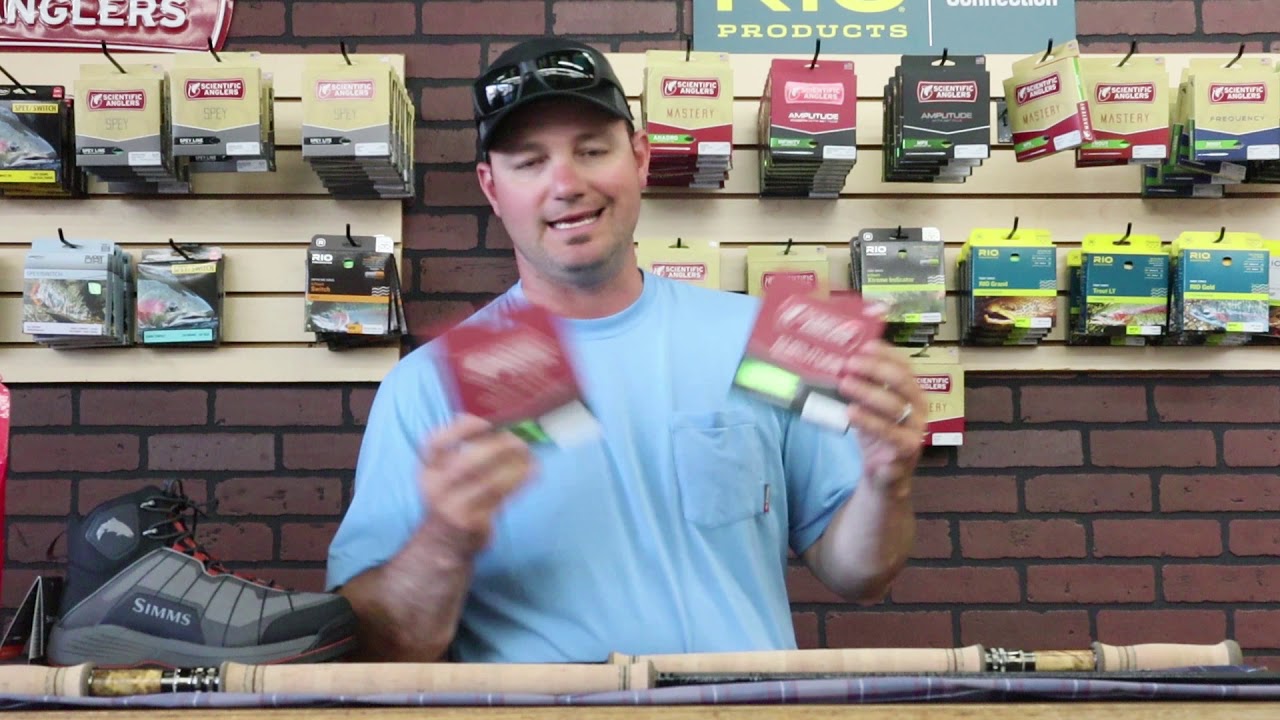 Watershed Fly Shop Fishing Report 8/23/19 YouTube