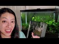 Middle of video
