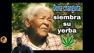 Doña changuita