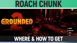 Grounded 2 - Roach Chunk - Where & How to Get