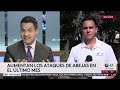 Aumentan ataques de abejas en San Antonio; varias personas terminan hospitalizadas