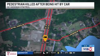 Pedestrian dies after being hit by car in Sumter County, troopers say
