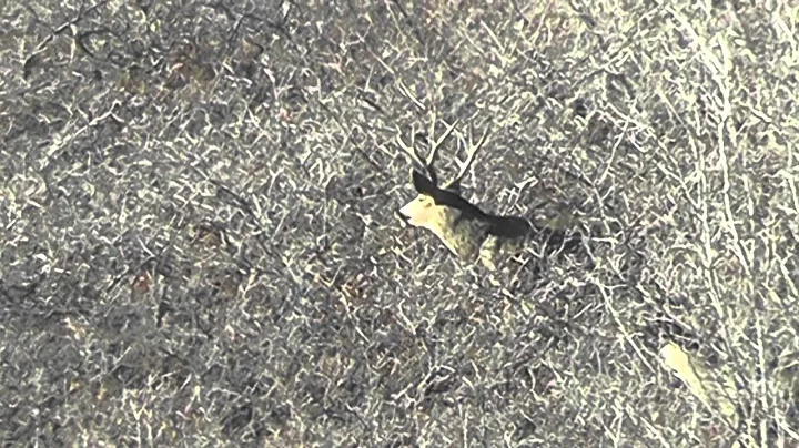 2012 Extended Archery, Utah, Hunting