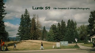 Calm Photography with LUMIX S9 | Film-Inspired LUTs | LUMIX LAB | S 18-40mm | S1RII S5II GH7