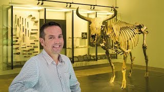 Cracking the genetic code for complex traits in cattle