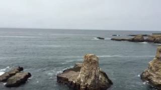 Point Arena-Stornetta Unit, California Coastal National Monument