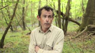 Rother Rural Affordable Homes Documentary