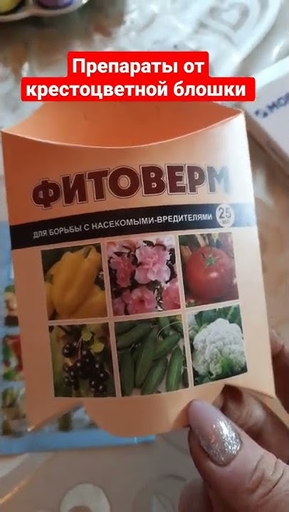 Фитоверм или Актара? Борьба с крестоцветной блошкой! - YouTube
