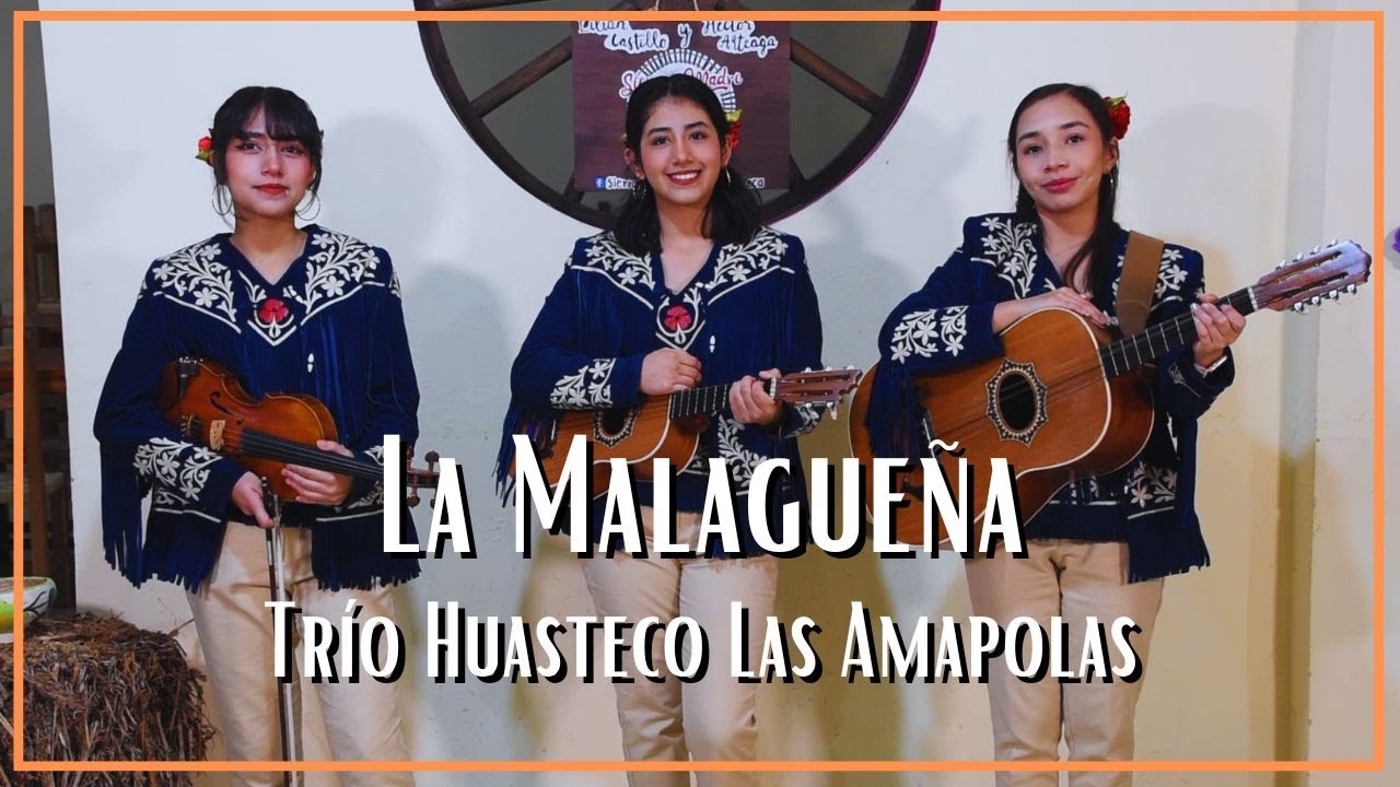 Trío Huasteco Las Amapolas - La Malagueña