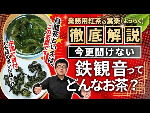 【プロが解説】烏龍茶「鉄観音」の魅力とは？中国での買付の思い出も語ります【中国茶・紅茶・緑茶】