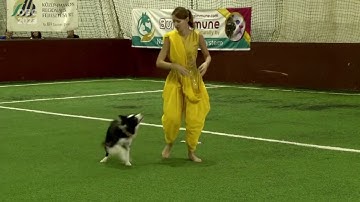 Dog Dancing OEC 2023 Hungary - Freestyle Qualification - Anastasiia Beaumont & Salsa