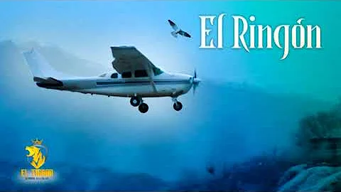 El Ringn - El Tigrn Sergio Elizalde [Corridos 2021]