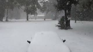 Jan 21 2025 Gulf Shores AL Blizzard