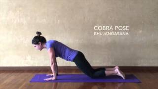Cobra Alignment