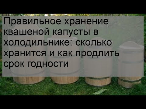 Правильное хранение квашеной капусты в холодильнике: сколько хранится и как продлить срок годности