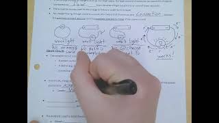 Physical Science Semester 2 Unit 7 Notes 2 - Simple Circuits