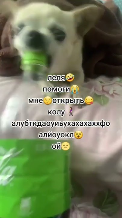 Ой😭💔 - YouTube