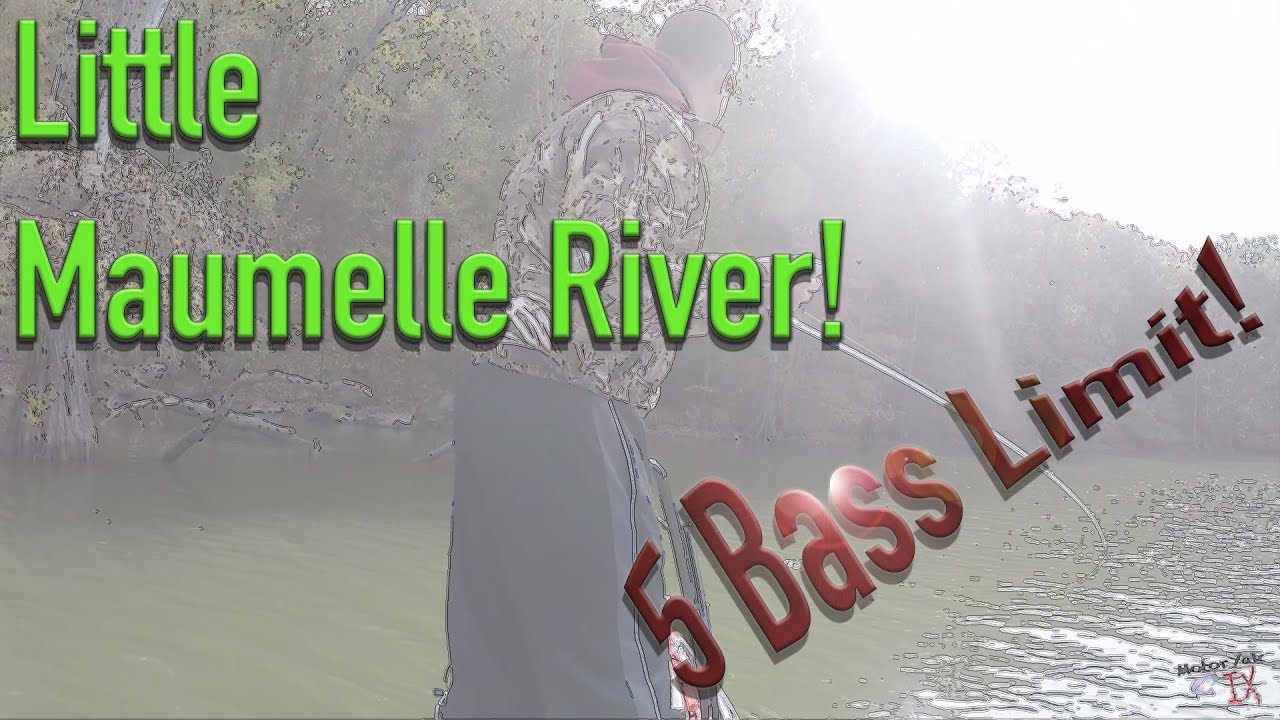 VLOG Episode 5 Little Maumelle River 5 Bass Limit! YouTube