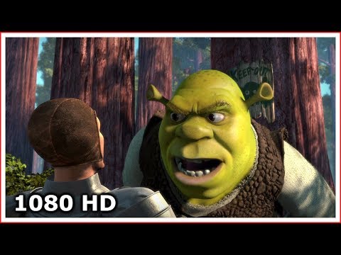 Кадр из фильма «Шрэк»