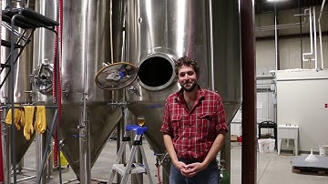 Ask the Meadmaker - Hold Out Your Hands