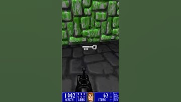 Now THAT escalated quickly! ☠️ #gaming #retrogaming #games #wolfenstein