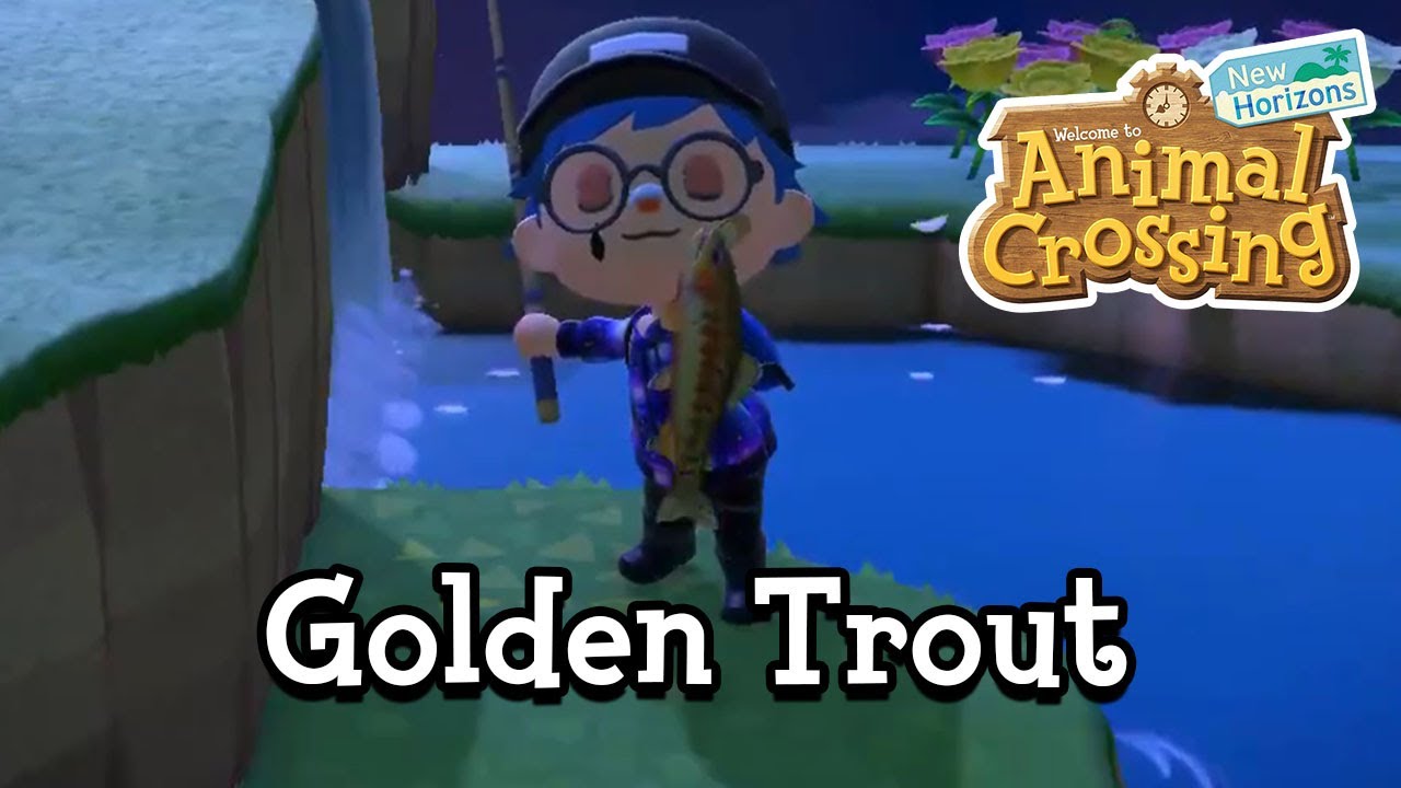 Catching the Golden Trout in Animal Crossing New Horizons YouTube