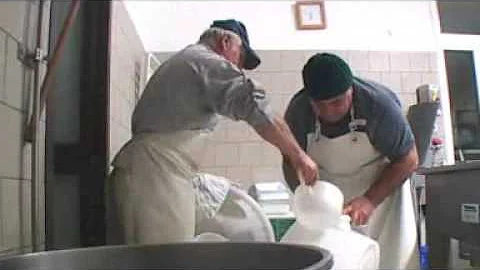 Gino - mozzarella