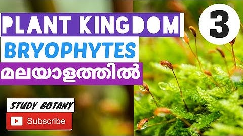 BRYOPHYTES || PLUS ONE BIOLOGY|| PLANT KINGDOM || STUDY BOTANY || MALAYALATHIL