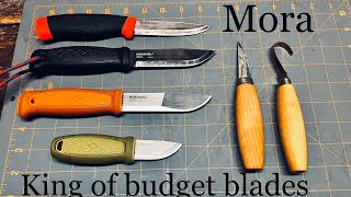 My complete Morakniv knife collection, so far… by Forest Adventures with Scott 511 views 9 months ago 15 minutes