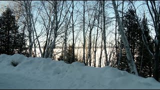 Coupes forestières : Québec revoit son plan près du lac Opasatica à Rouyn-Noranda