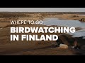 BIRDING LOCATIONS of Southern Finland | Orimattila / Pukkila