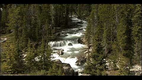 Water Cycle | Biology | Ecology