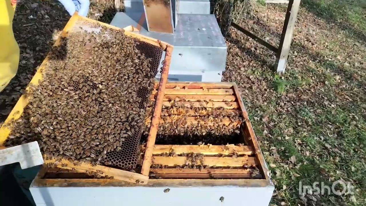 13/01/2026g prvi pregled na količinu hrane.