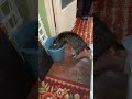 сушняк 🤣🤣🤣🤣🤣+спалили