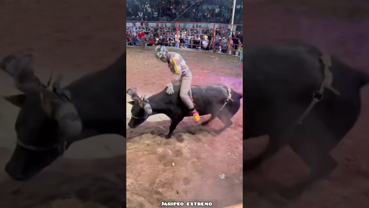 JARIPEO EXTREMO🐂🔥 #jaripeo #shorts