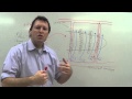 Countercurrent Exchange Mechanism Quiz