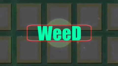 intro para mi amigo WeeD