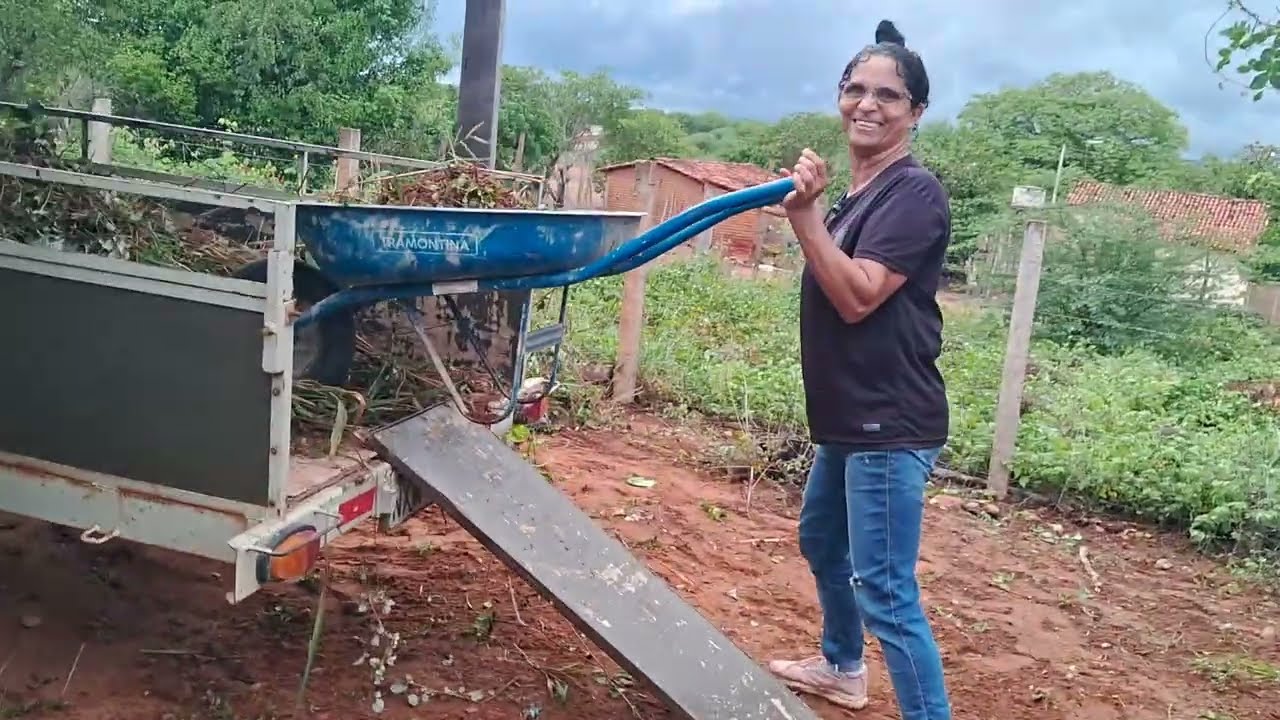 Fazendo uma limpeza no quintal de nossa casa 