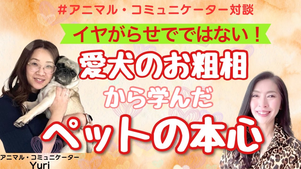 ＃アニマルコミュニケーション講座