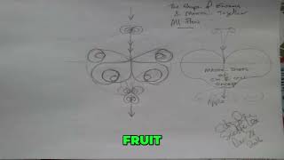 Unveiling the Double Helix Energy: Nature's DNA Secrets