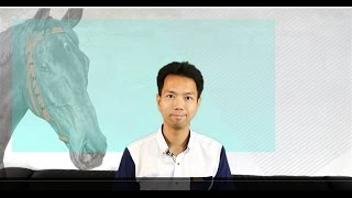 楊駿 賽馬日提供 #20161001