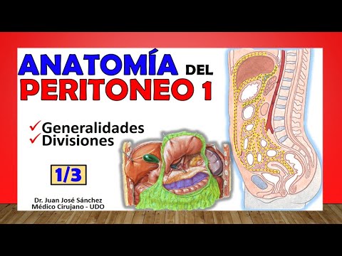 Vídeo: On es troba la cavitat peritoneal?